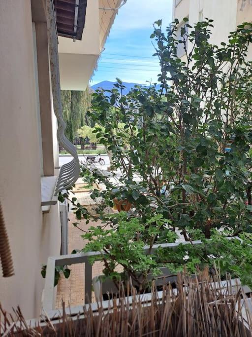 Δίπλα Στο Πάρκο Lejlighed Kalamata Eksteriør billede